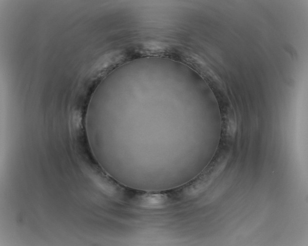 X0000115730711200911121512