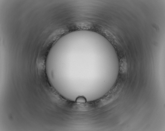 X0000115730713200911121512