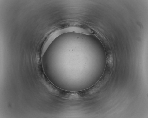 X0000115730715200911121512