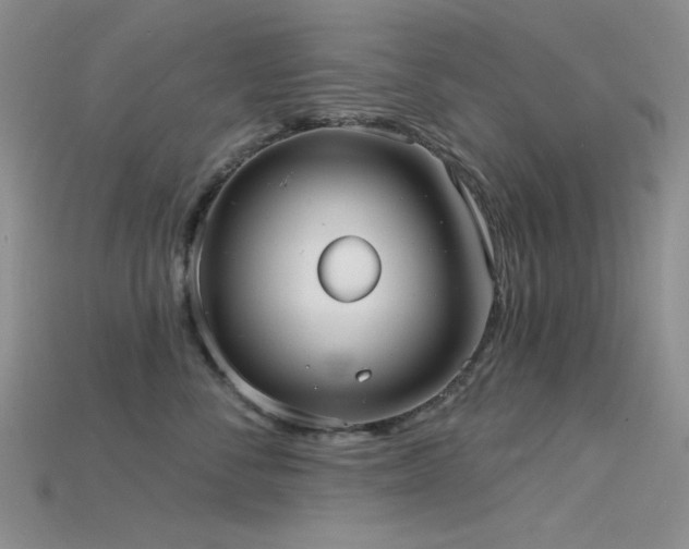 X0000115730716200911121512