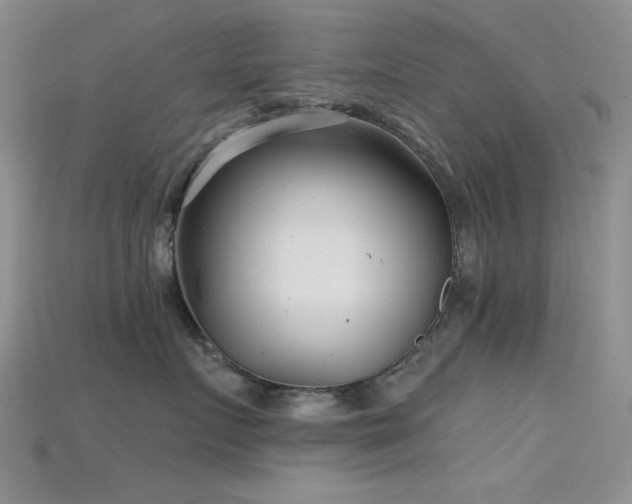 X0000115730719200911121512