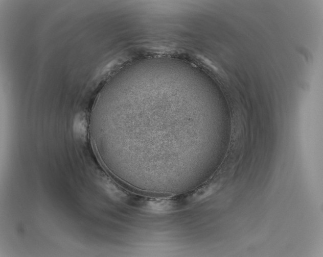 X0000115730720200911121512
