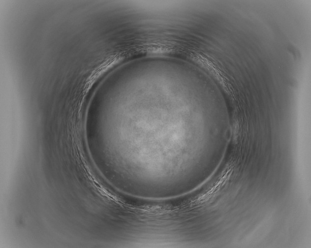 X0000115730721200911121511