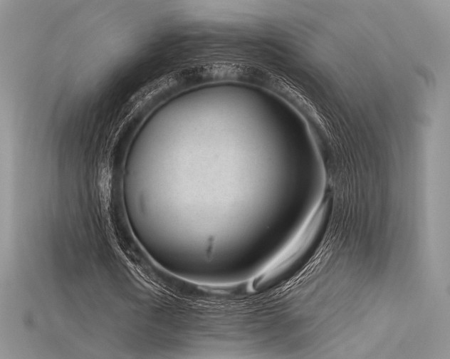 X0000115730722200911121511