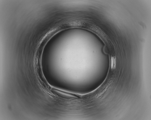 X0000115730723200911121511