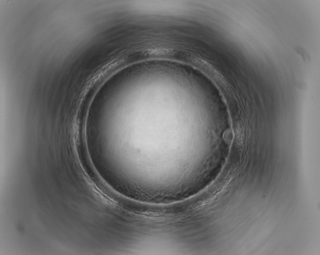 X0000115730725200911121511