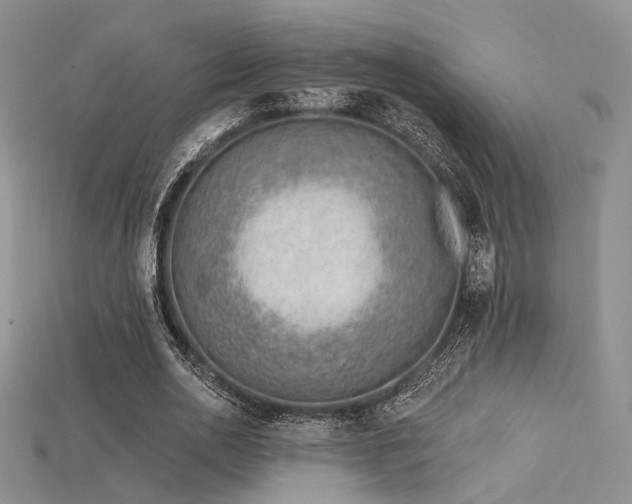 X0000115730726200911121511