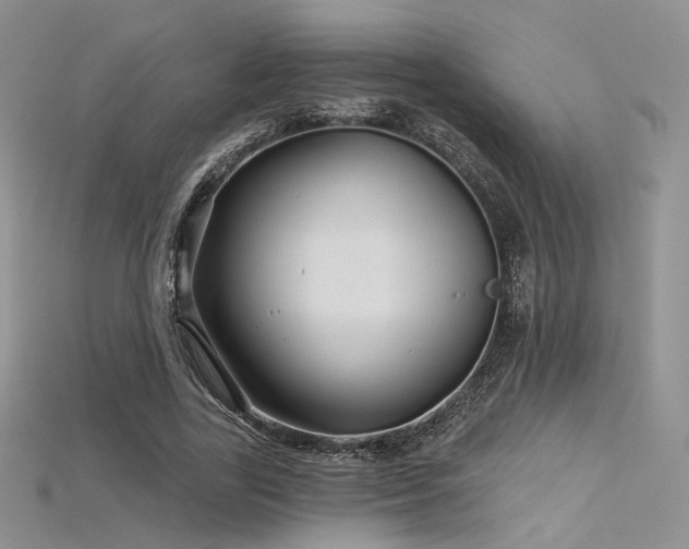 X0000115730731200911121511