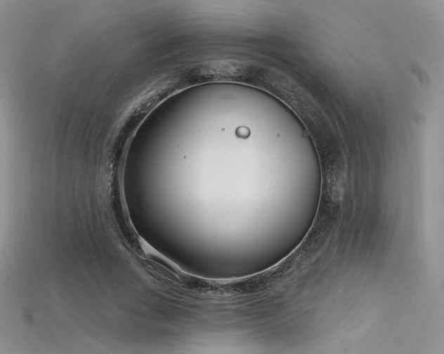 X0000115730735200911121511