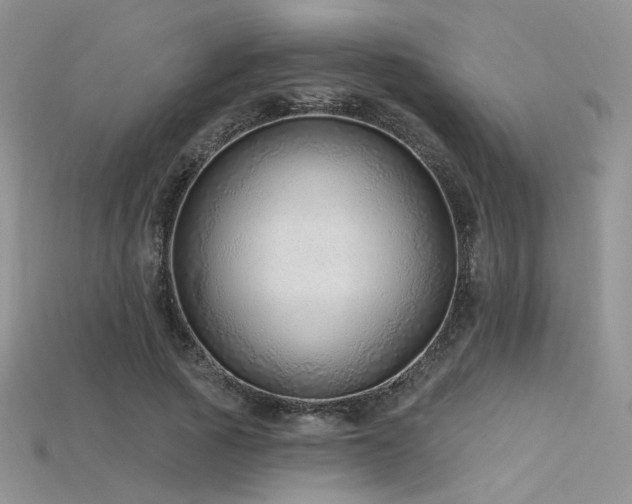 X0000115730737200911121511