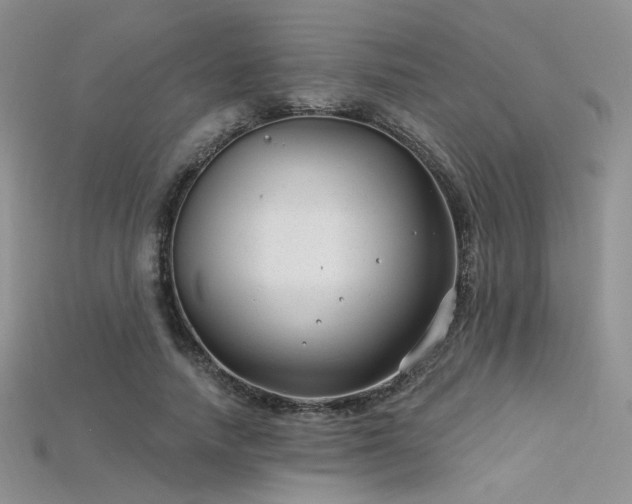 X0000115730738200911121511