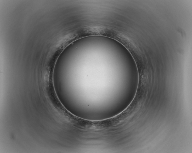 X0000115730739200911121511