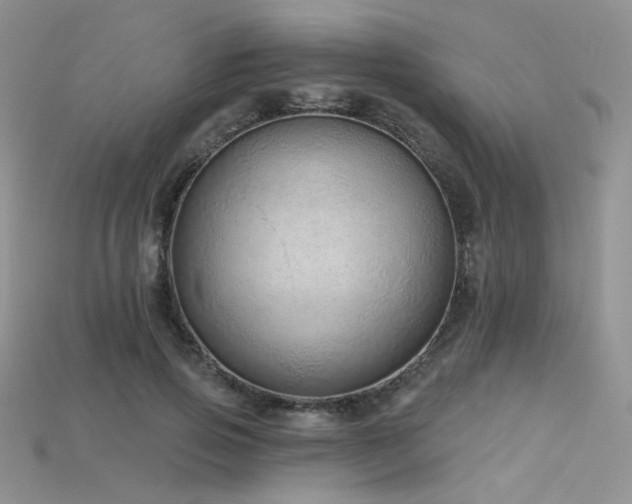 X0000115730741200911121511
