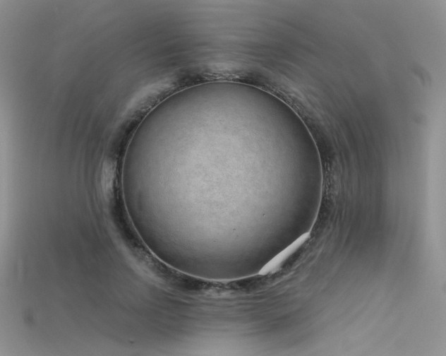 X0000115730742200911121511