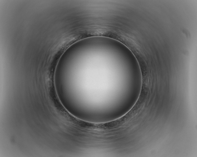 X0000115730743200911121511