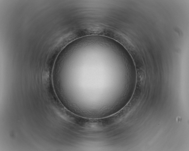 X0000115730745200911121511
