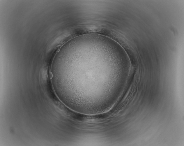 X0000115730746200911121511