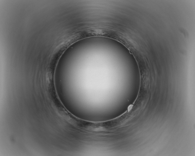 X0000115730747200911121511