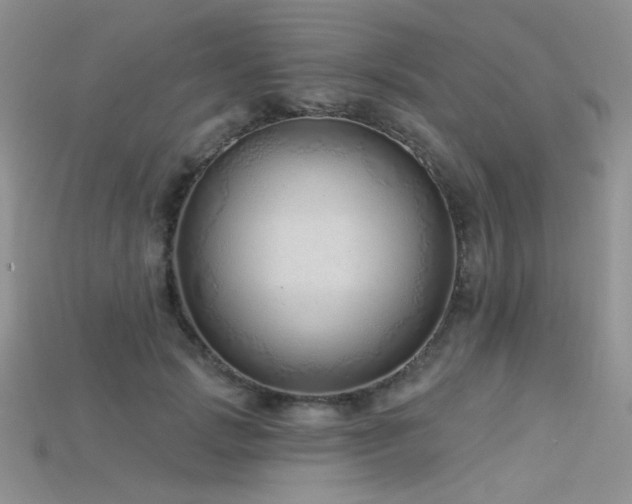 X0000115730749200911121511