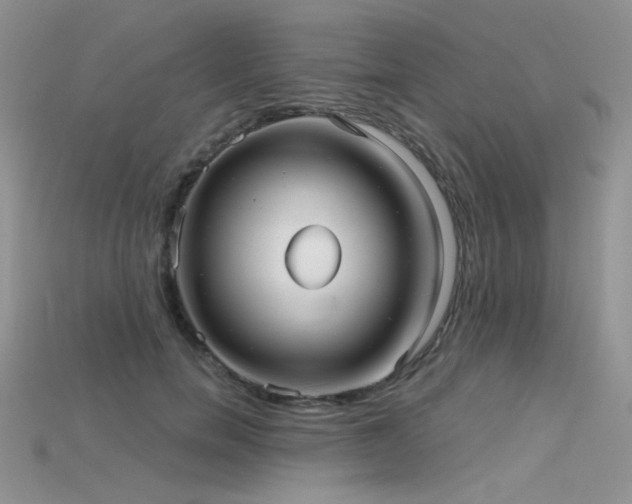X0000115730750200911121511