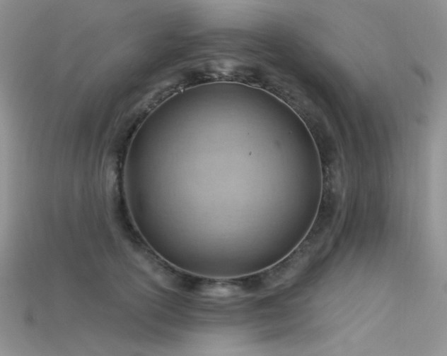 X0000115730754200911121511