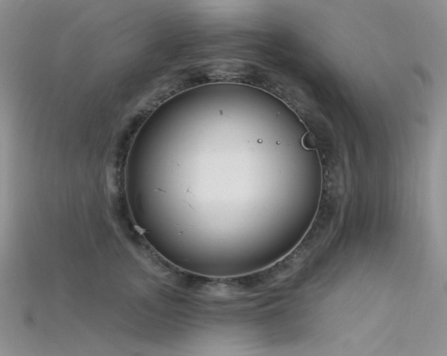 X0000115730755200911121511