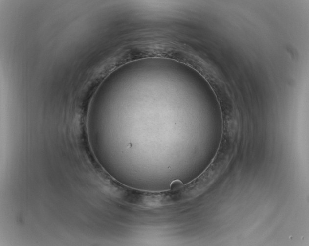 X0000115730757200911121511