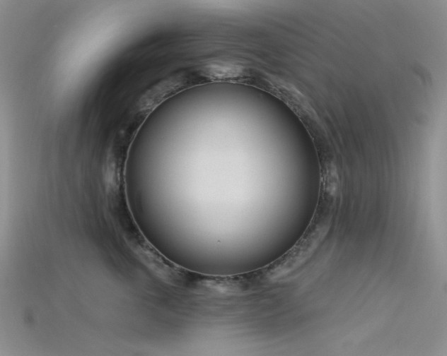 X0000115730763200911121512