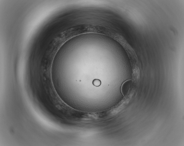 X0000115730765200911121512