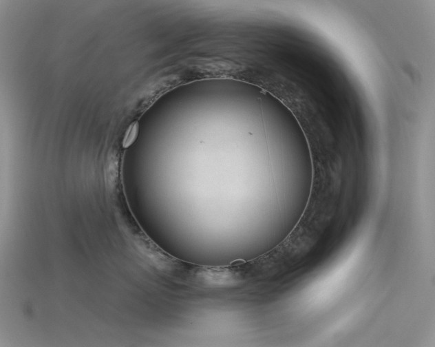X0000115730767200911121512