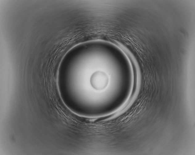 X0000115730769200911121511