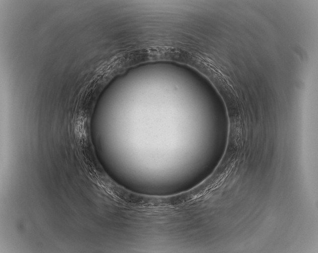 X0000115730770200911121511
