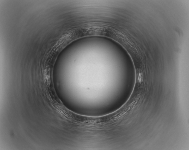 X0000115730771200911121511