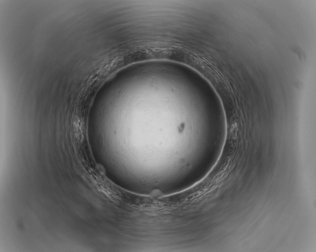 X0000115730772200911121511