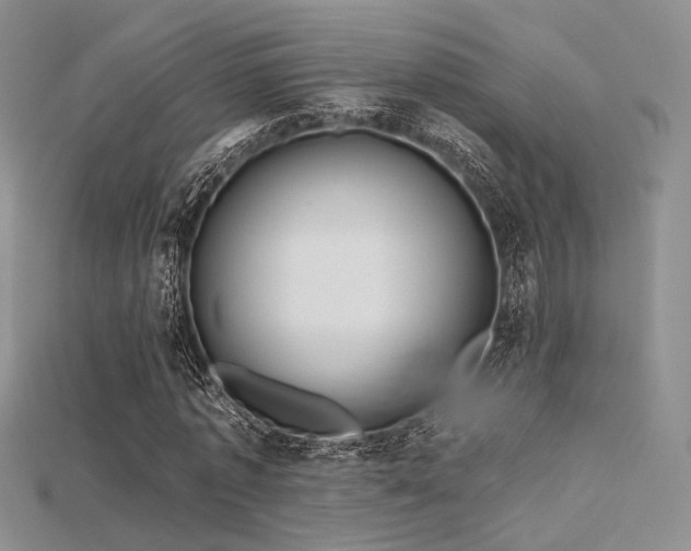 X0000115730773200911121511