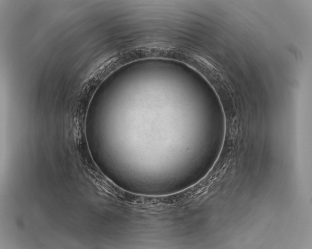 X0000115730774200911121511