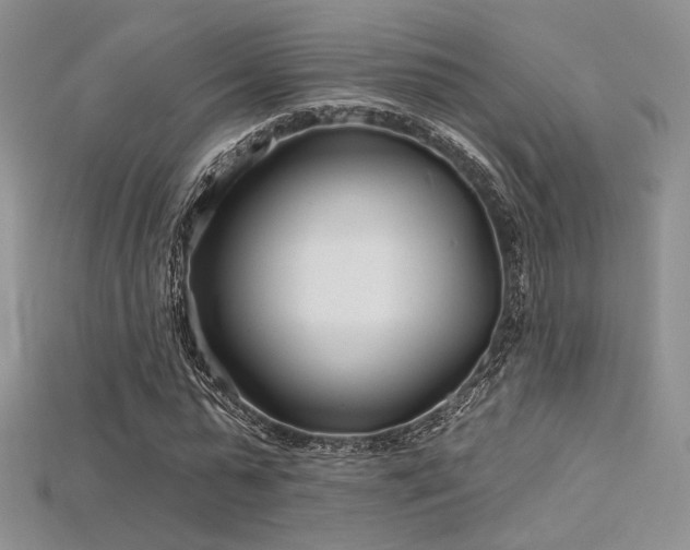 X0000115730775200911121511