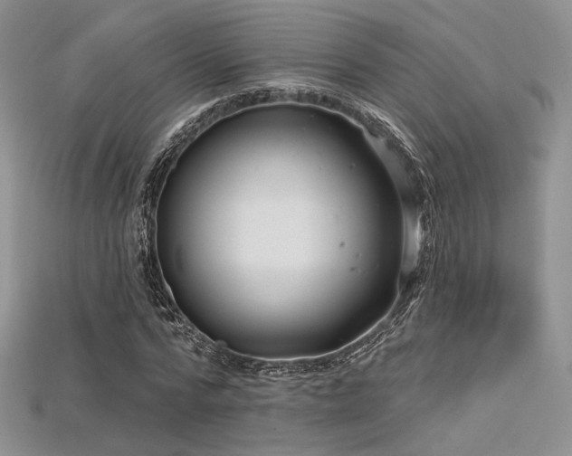 X0000115730776200911121511