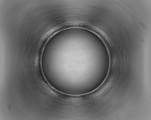 X0000115730778200911121511