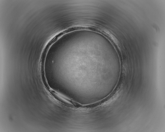 X0000115730779200911121511