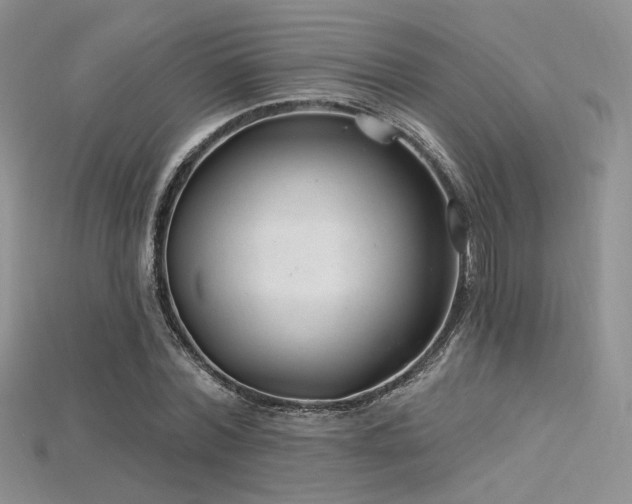 X0000115730780200911121511