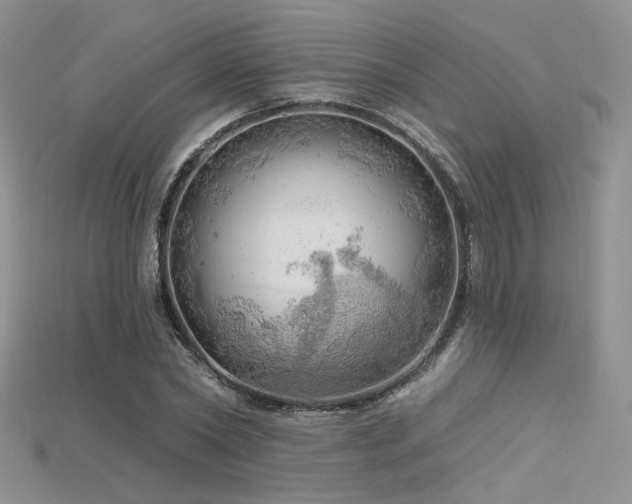 X0000115730782200911121511