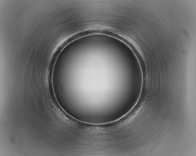 X0000115730783200911121511