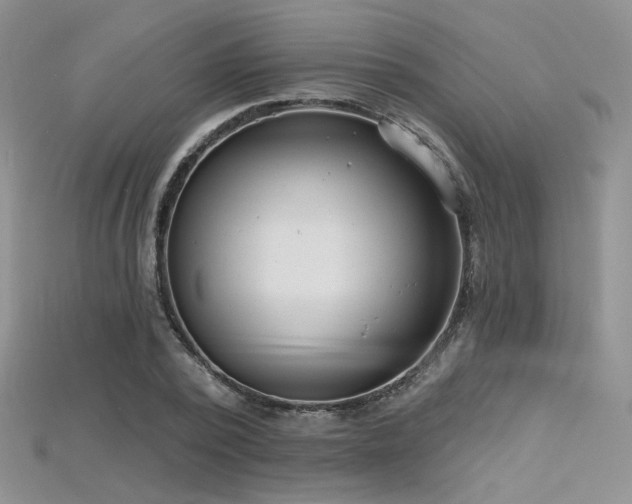 X0000115730784200911121511