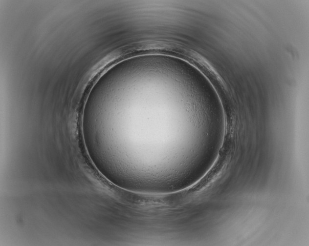 X0000115730786200911121511