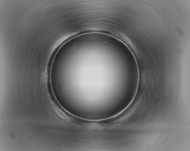 X0000115730787200911121511