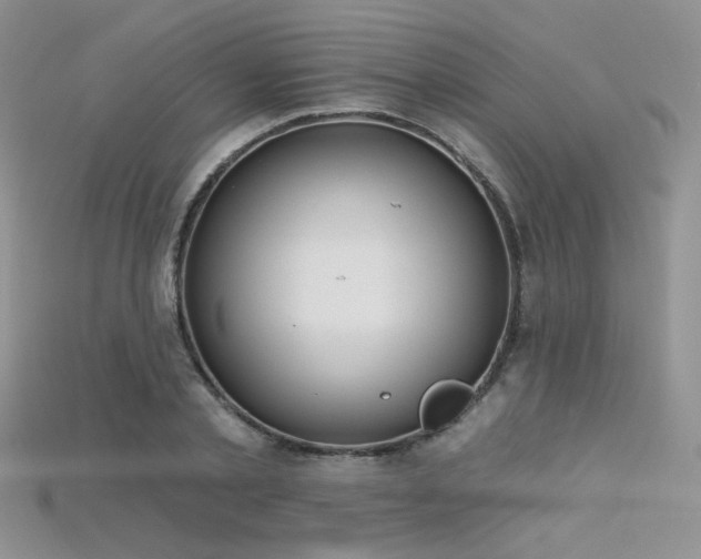 X0000115730789200911121511