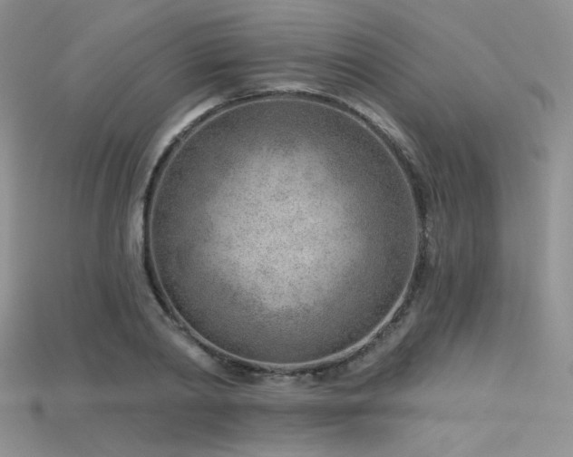 X0000115730790200911121511