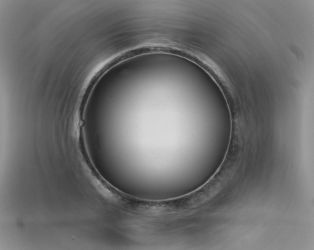 X0000115730791200911121511