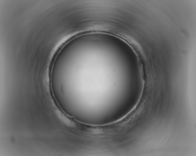 X0000115730792200911121511